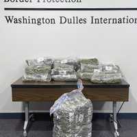 <p>The recovered marijuana at Dulles International Airport</p>