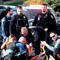 <p>The Honda HR-V struck the Rockland County bicyclist off a curved stretch of Island Road where there are no bike lanes.&nbsp;
  
</p>