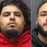 Driver Reaches For Gun In Struggle, Rochelle Park Police Say