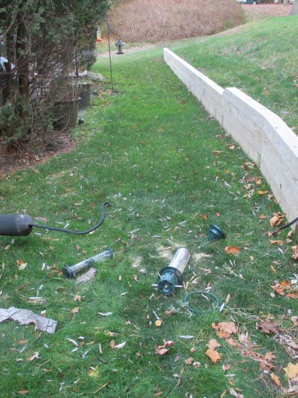Bear Leaves Its Mark At Cross River Home