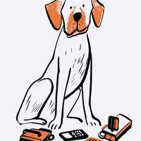Putnam K9 Officer Hannah Featured In New Yorker Magazine For Sniffing Out Child Porn