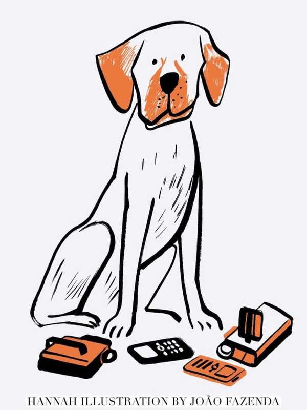 Putnam K9 Officer Hannah Featured In New Yorker Magazine For Sniffing Out Child Porn