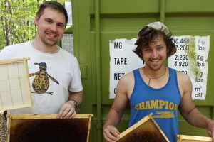 Mahwah Group Moves Beehives After Bear Attack