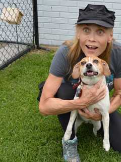 Bark And Ride: Emerson Car Dealer Rolls Out Canine Carpet