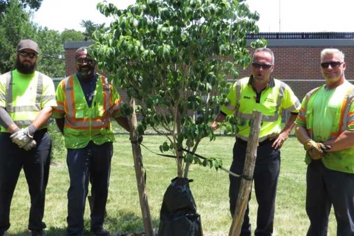 Teaneck Grows 'Tree Of Love' Program
