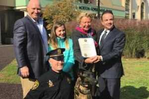 Bridgeport PD Adds K9 For Bomb Detection