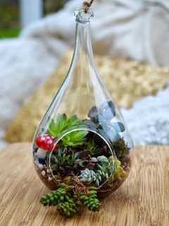 Terrarium Making On Craft Menu At Wyckoff Farm