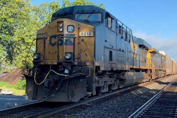 Woman, 25, Struck, Killed By Freight Train In Bergenfield