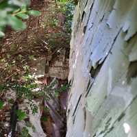 <p>The window well the kitten was trapped in.</p>