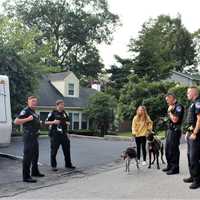 <p>The dogs were rescued by first responders in Mahopac.</p>