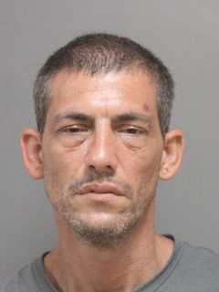 Stolen Car Suspect Located At Long Island Hotel, Police Say