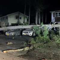 <p>Severe winds brought down trees and wires in Ulster County.</p>