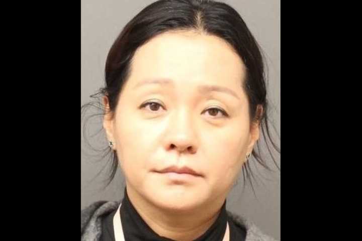 Art Curator From Englewood Charged With Stealing Client's $273,000