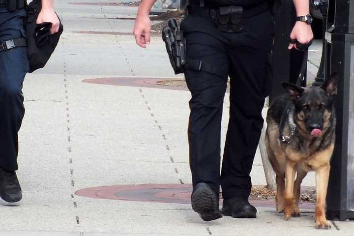 PD: Drug Sends NJ High Schoolers, 17, 14, To Hospital, Prompts K9 Search