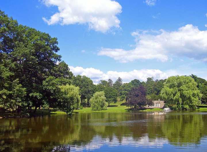 A seasonal cafe is set to open in Downing Park.