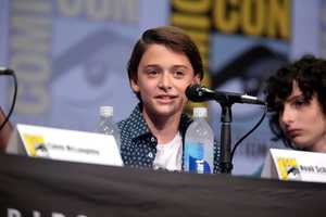 'Stranger Things' Star Noah Schnapp From Scarsdale Comes Out As Gay