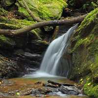 <p>During your hike, be sure to stop by scenic waterfalls like Oakland Run found along the Mason-Dixon Trail.</p>