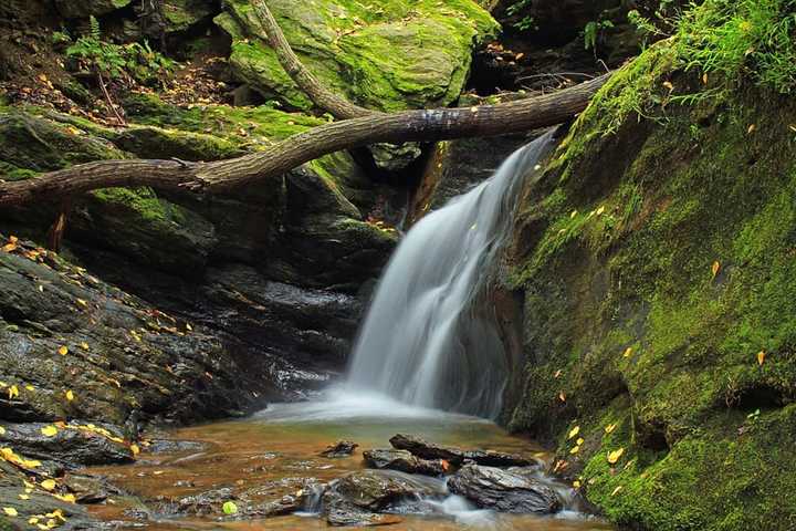 During your hike, be sure to stop by scenic waterfalls like Oakland Run found along the Mason-Dixon Trail.