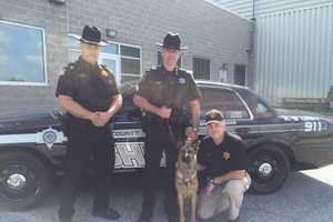 Orange County Sheriffs Welcome New K-9 Officer