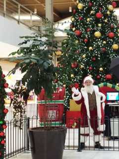 Tree Lighting Ceremony Scheduled For Palisades Center
