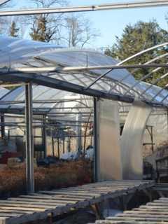 Poughquag Business Looking To Recover From Greenhouse Collapse
