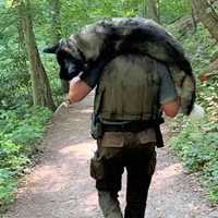 <p>Supervisory Park Ranger Kris Salapek carries the dog down Mount Tammany.</p>