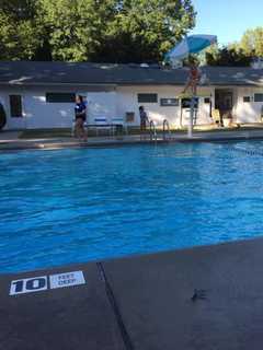 Dining At Blue Moon Cafe Tuesdays In March Aids Norwood Swim Club