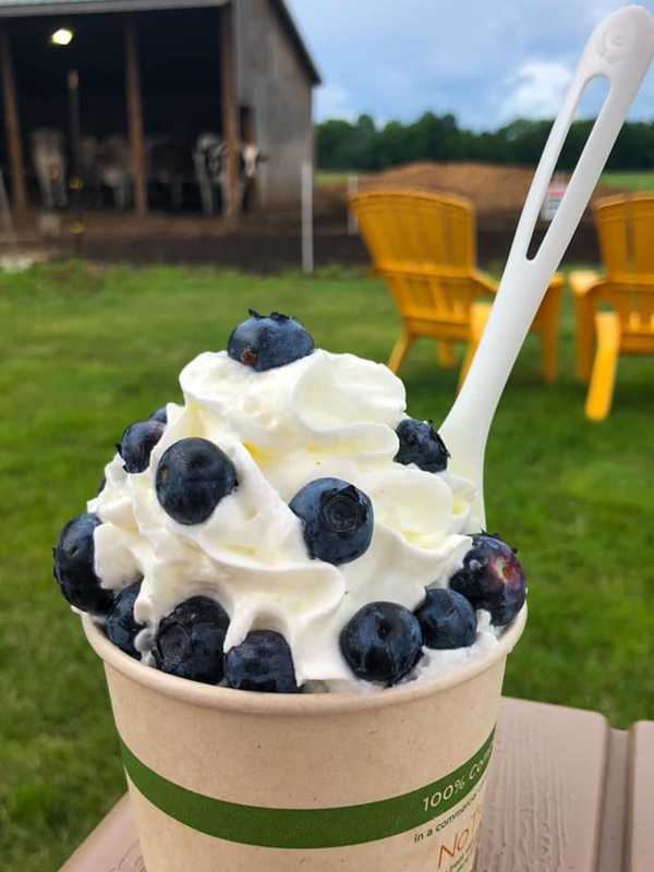 Best Ice Cream Spots In The Pioneer Valley