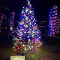 <p>The Tree of Hope and Flags have been removed after complaints.</p>