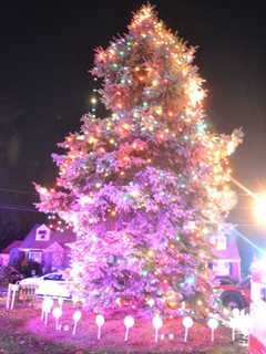 Saddle Brook To Welcome Holidays With Tree Lighting, Party With Santa