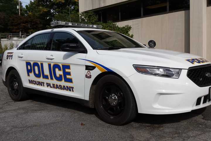 Three Separate School Fights Top Mount Pleasant Police Blotter