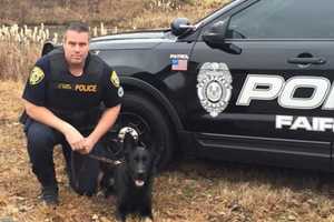 Suspect Charged In Attempted Theft From Fairfield Car Dealership