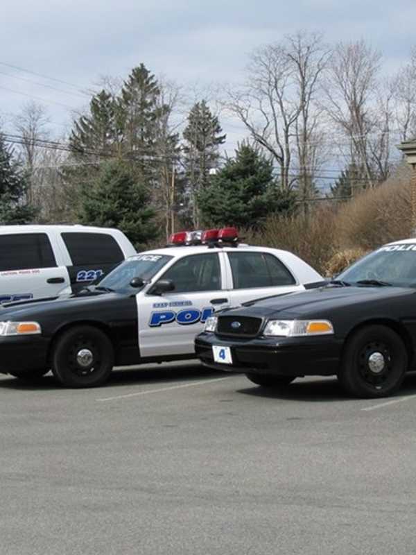 East Fishkill Police Seek Public's Help In Investigating Vandalism Calls