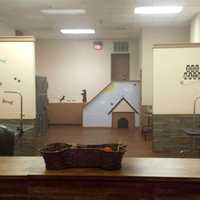 <p>Inside &quot;Pawesome Pet Salon&quot; in Lyndhurst.</p>