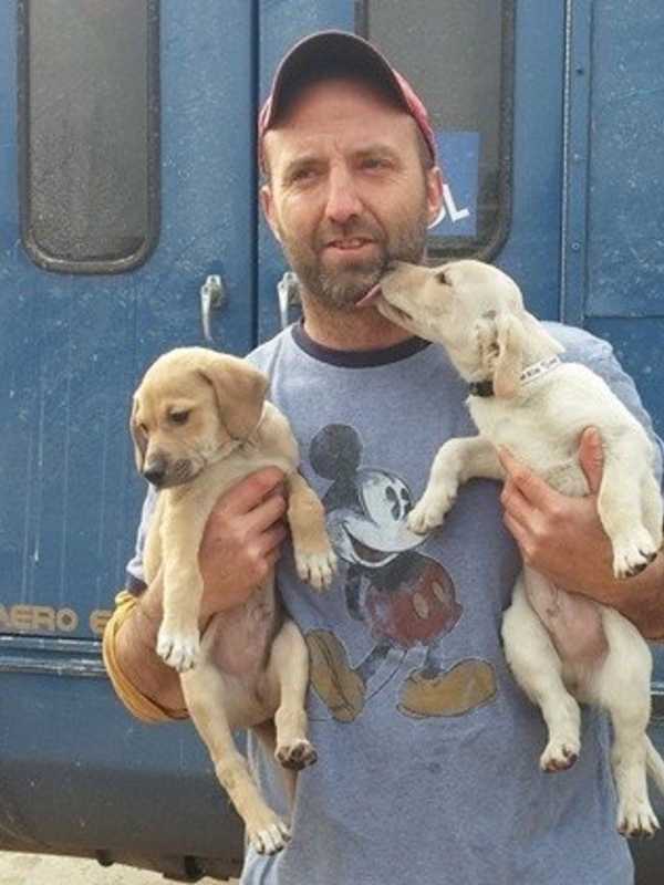 This Middletown Pet Rescuer Has Saved 13,000 Dogs Since 2015