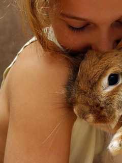 'All About Rabbits' At Red Hook Library