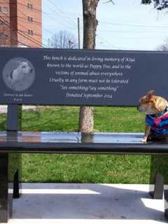 Donate A Park Bench In Westwood