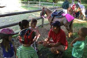 Ridgewood Offers Touch Of Nature With Live Animals