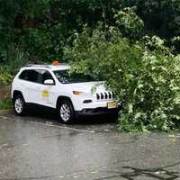 <p>A tree falls on an emergency vehicle in Bernardsville.</p>