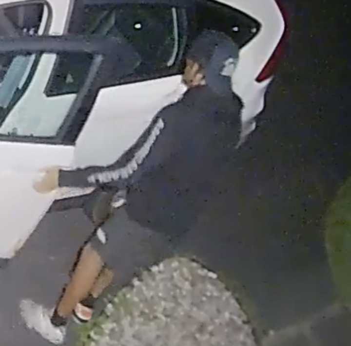 One of the alleged car thieves was caught on video surveillance.