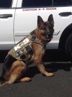 Stratford Police Seek Funding To Add New K9 To Force