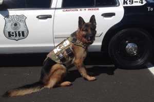 GoFundMe Page Raising Money For K-9 For Stratford PD