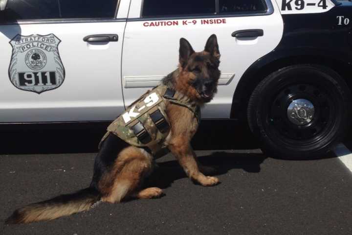 GoFundMe Page Raising Money For K-9 For Stratford PD