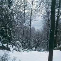 Open Space Institute Protects Hudson Valley Heritage Trail Network