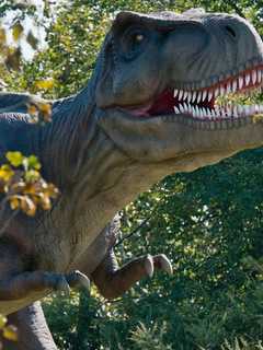 Research Shows Dinosaurs May Have Mumbled, Not Roared