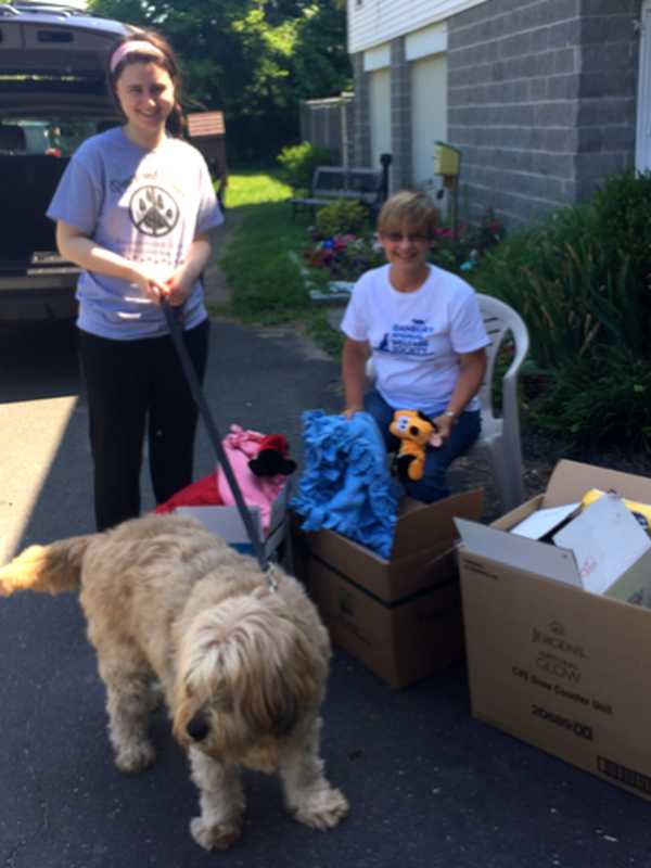 Fairfield Teen "Doggedly' Pursues Educating Public About Heartworm Disease