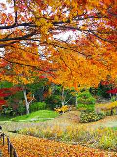 Cold Front Arrives In Armonk This Weekend