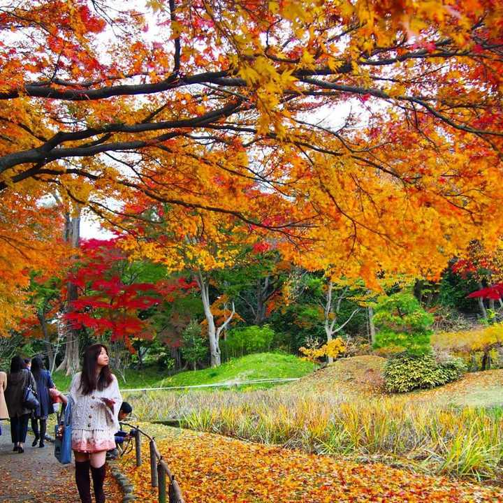 The colors of fall are coming to area foliage early this year thanks to the dry weather.