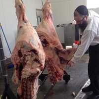 <p>Rabbi Avidan Elkin examines a carcass in his Hackensack office.</p>