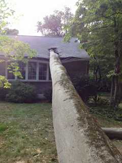 Tree Damages House In Briarcliff Manor